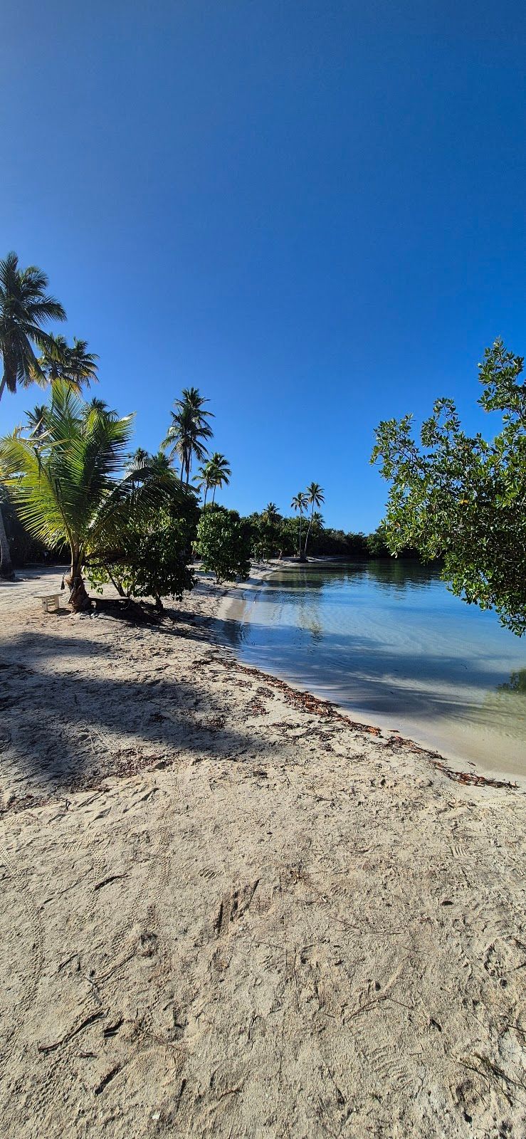La Playita