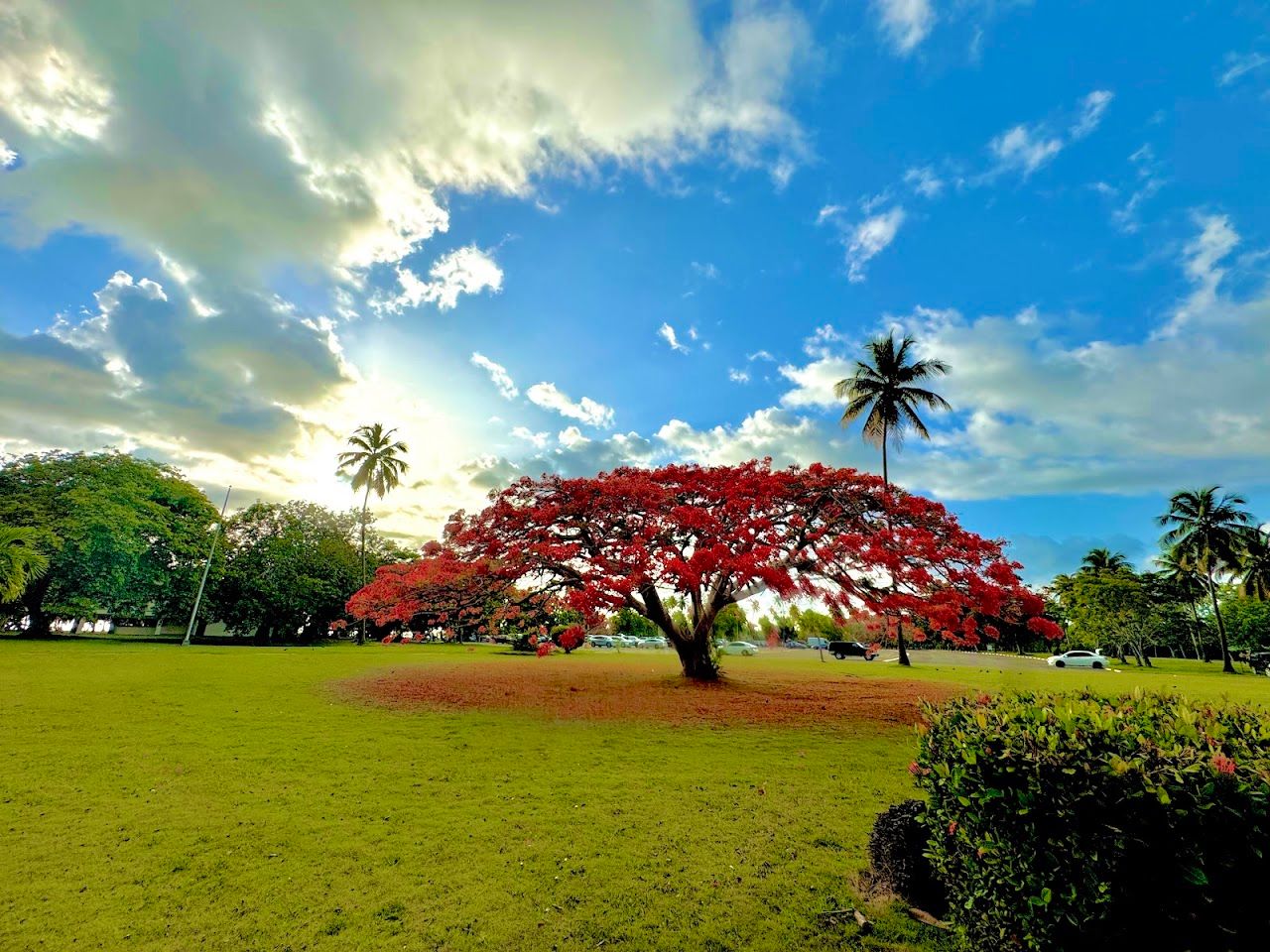 Balneario Boquerón