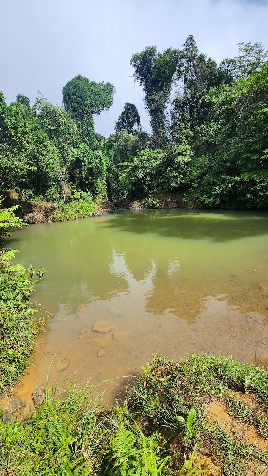 Charco Azul Pinic Area