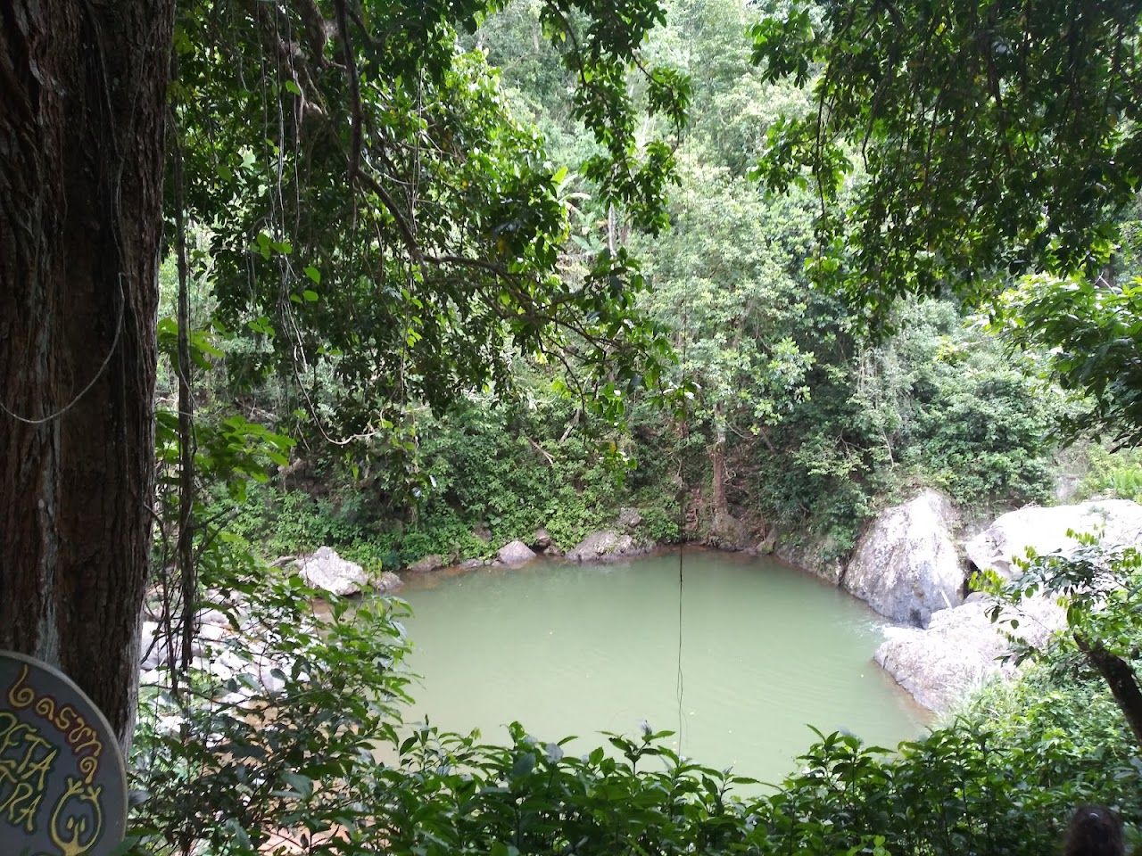 Charco Mangó