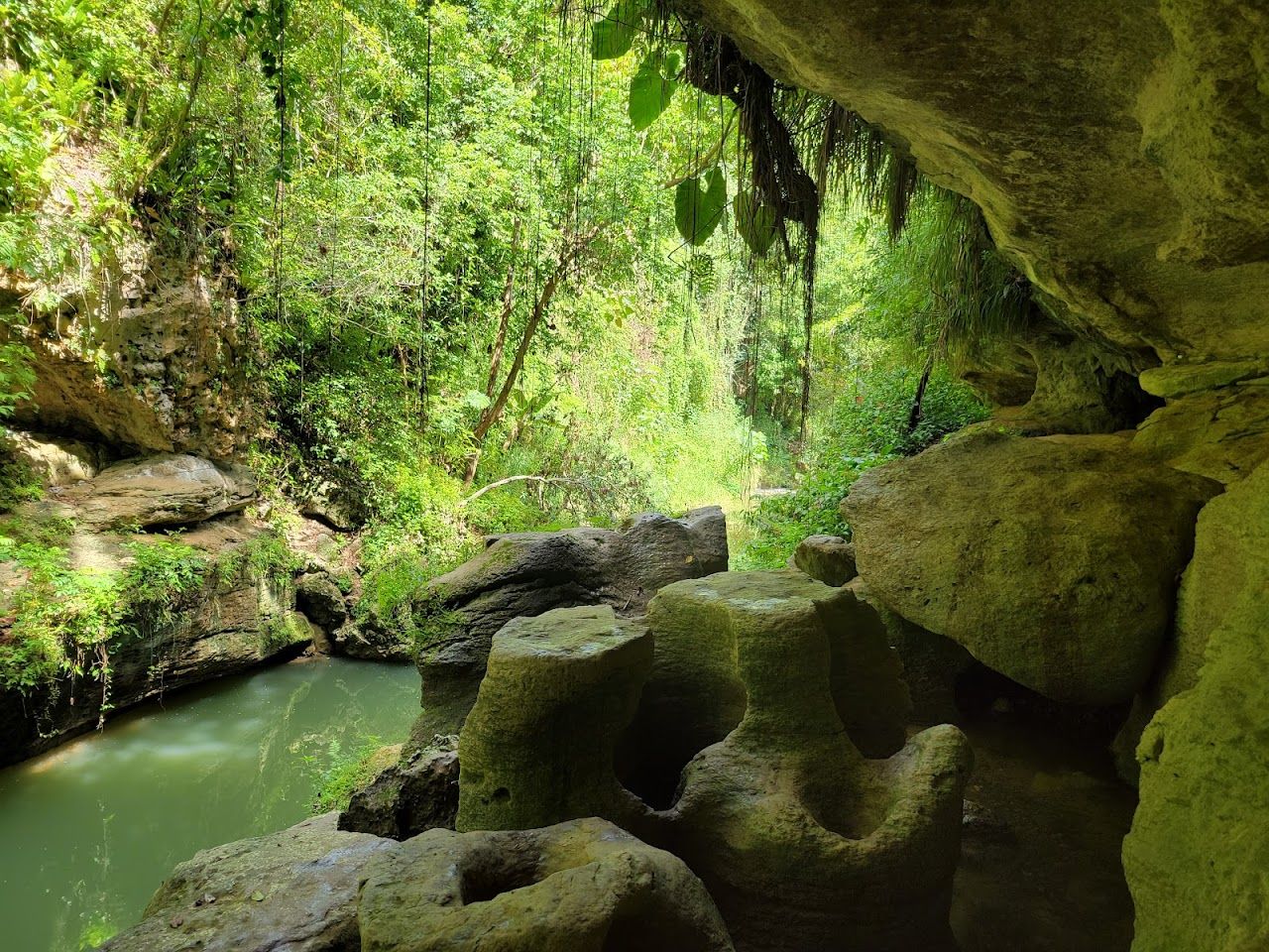 Charco Azul De Vega Baja