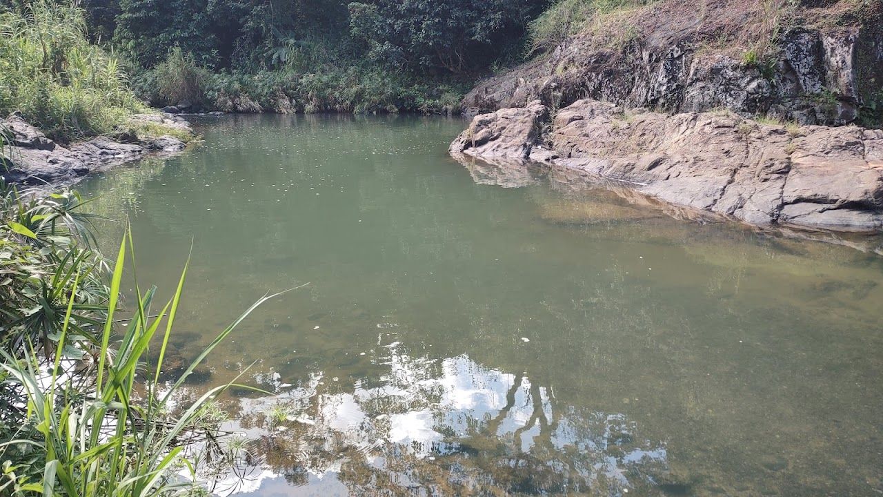 Charco Los Caballos