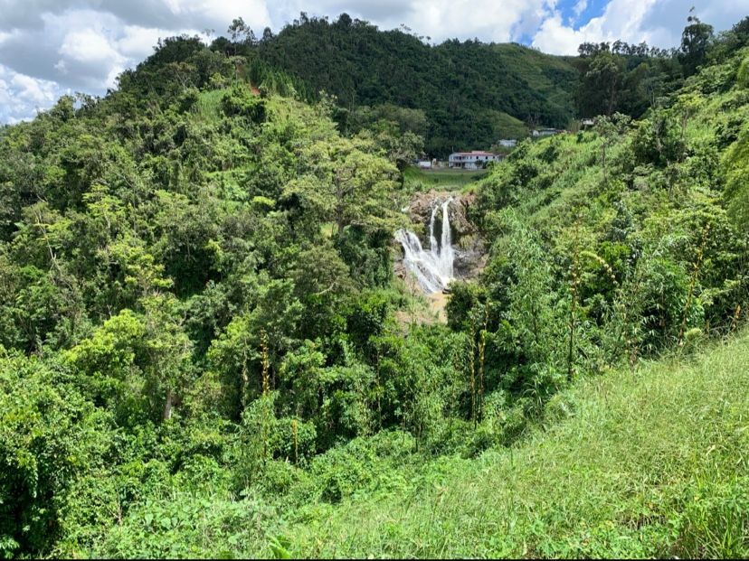 Salto de la Vaca