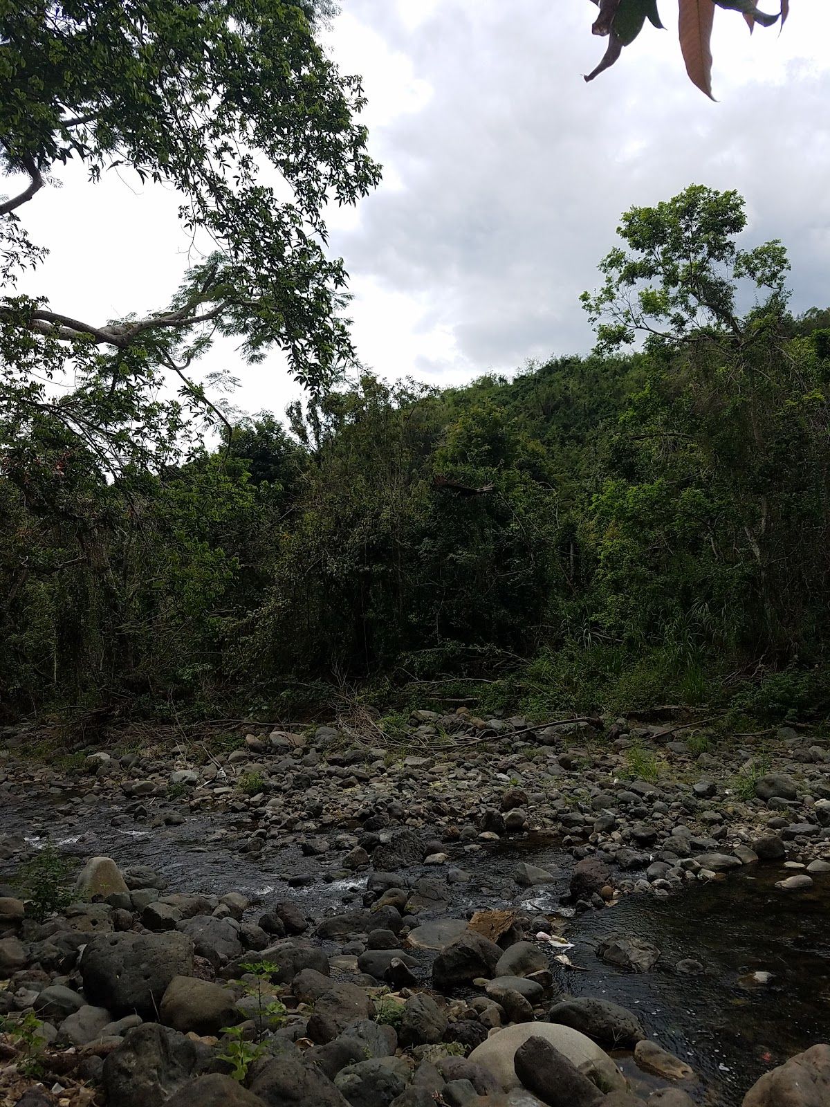 Charco El Rucio