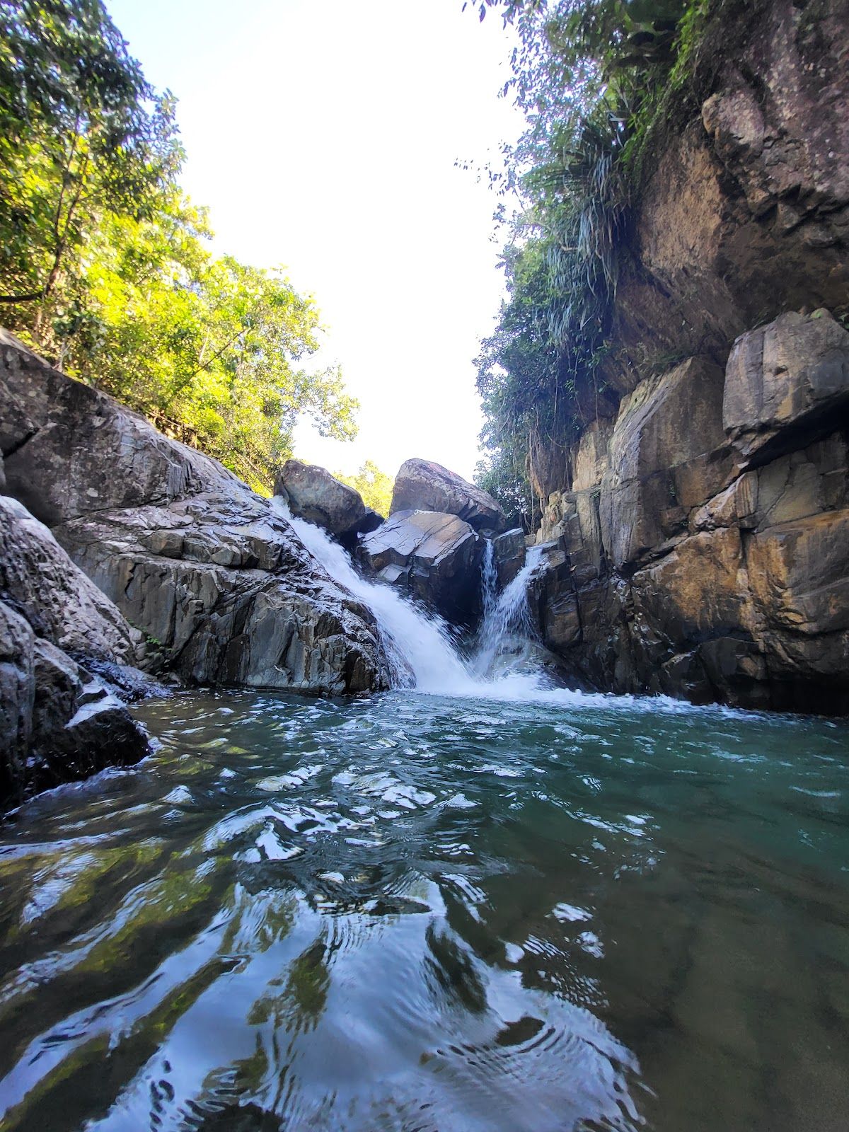 Cascada El Survivor