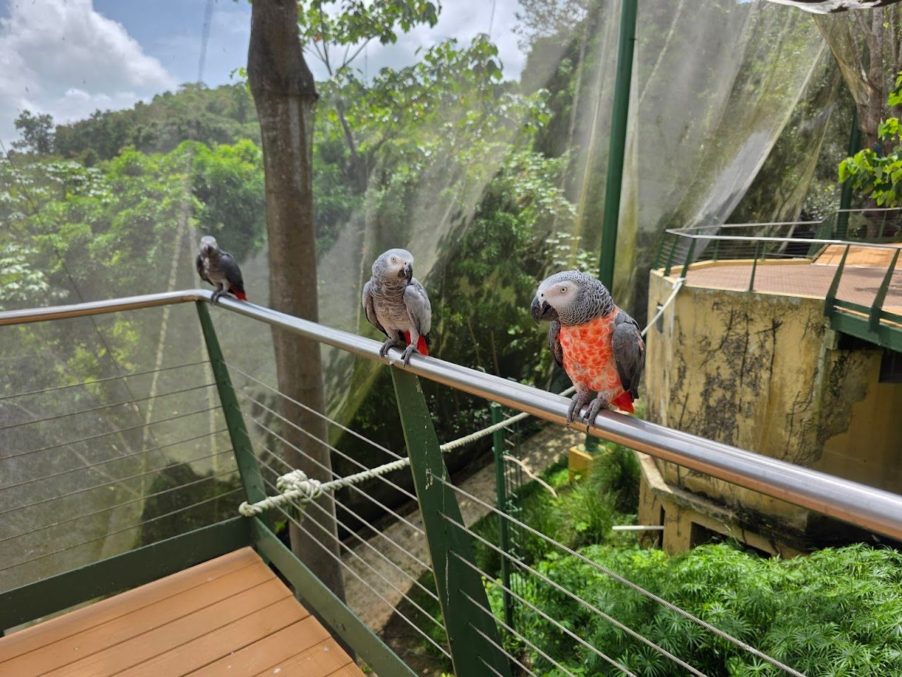 Parque Forestal La Marquesa