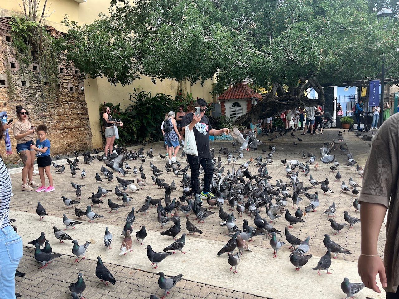 Parque Las Palomas