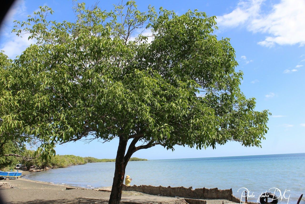 Playa La 80