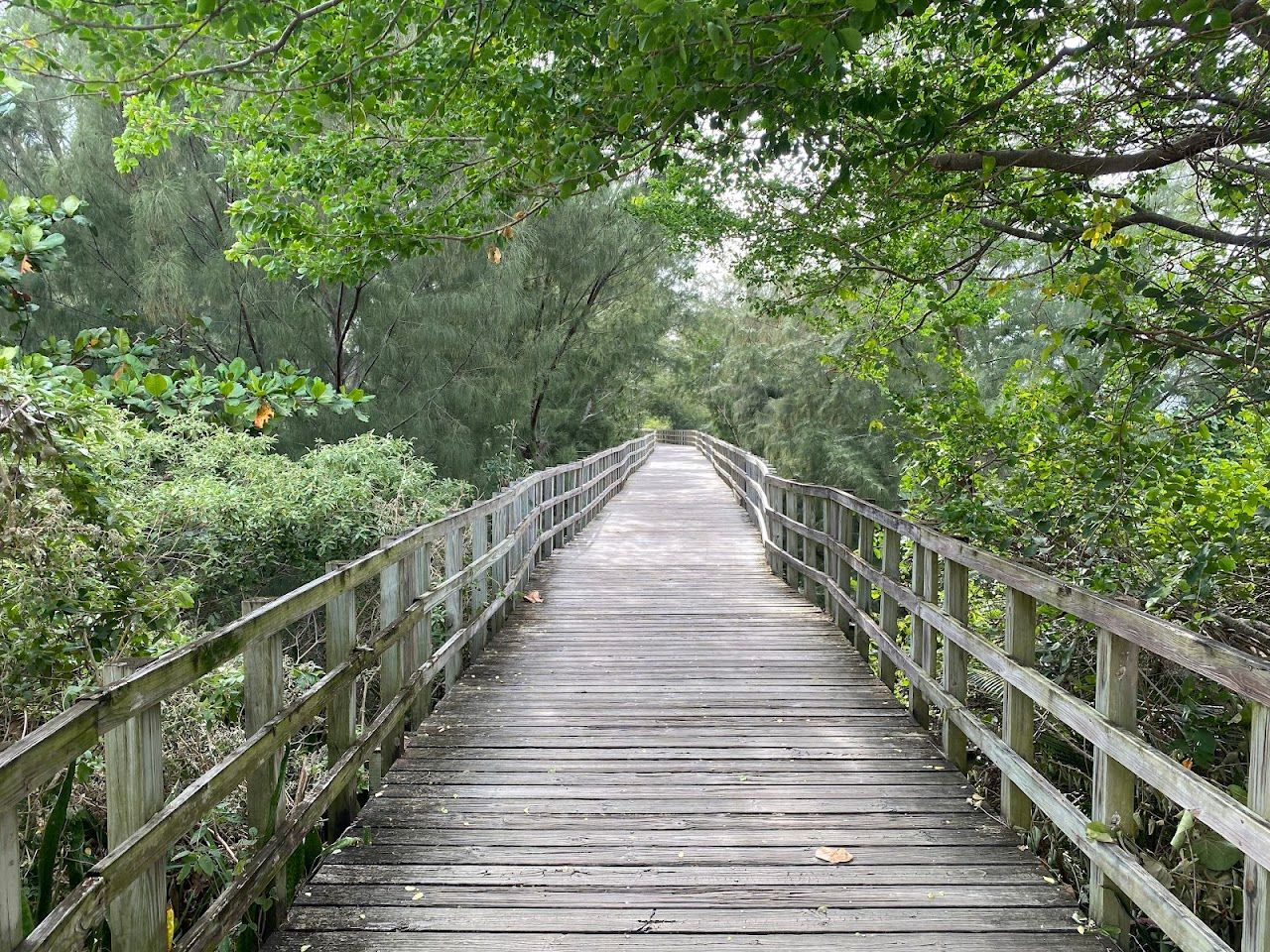 Paseo Lineal Isabela