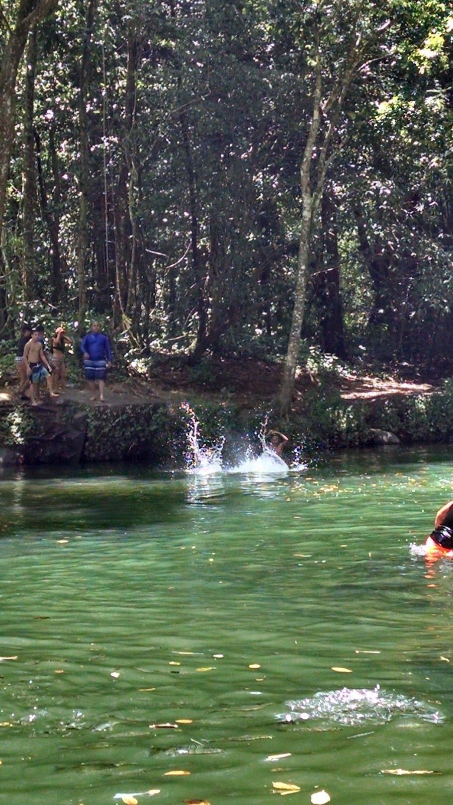 Junglequí Zipline