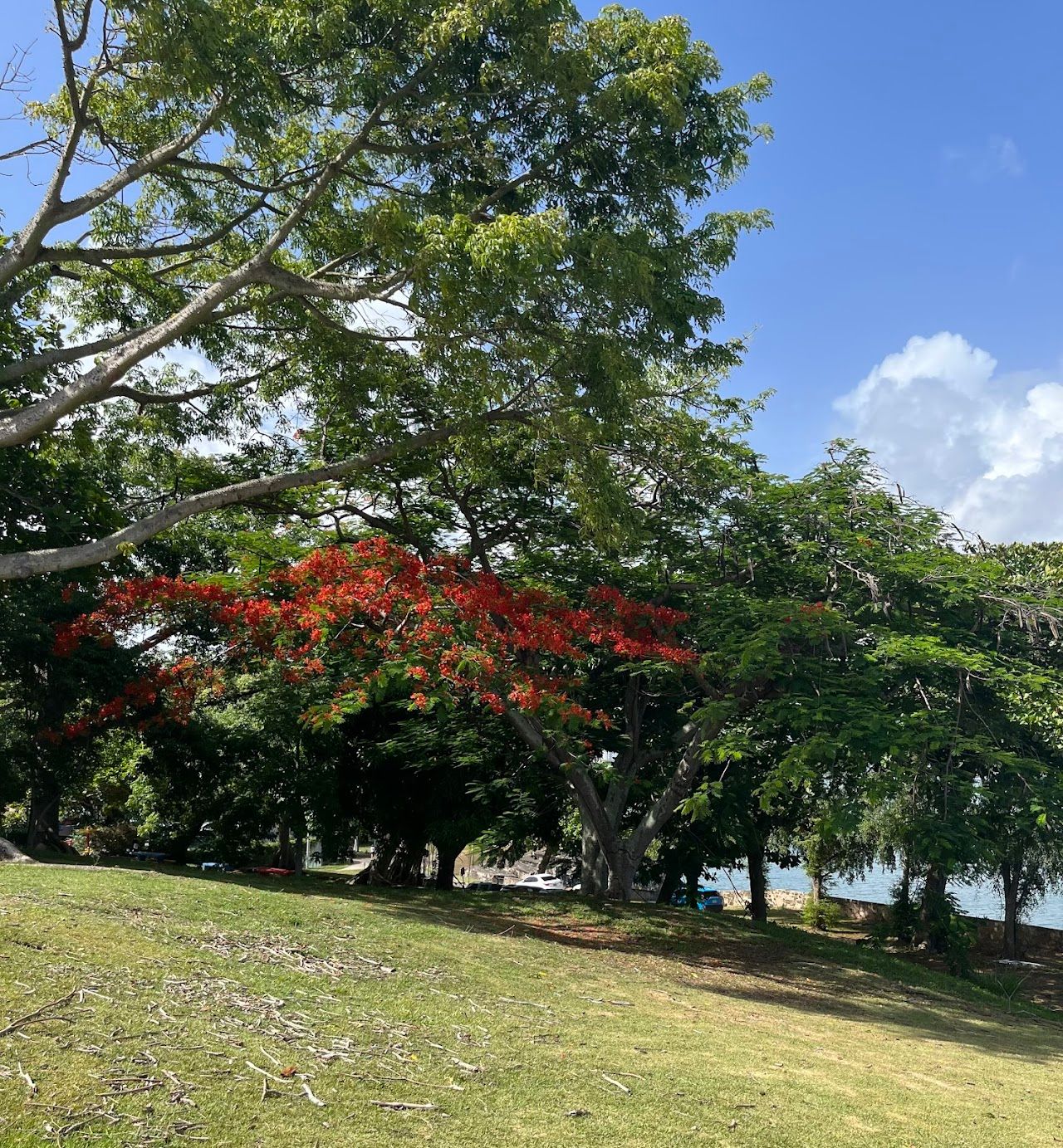 Parque Pasivo Viejo San Juan