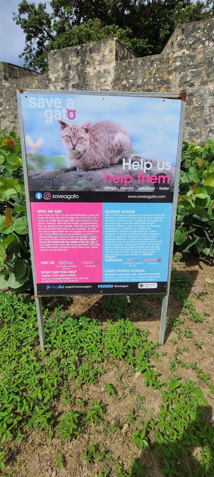 Parque De Los Gatos