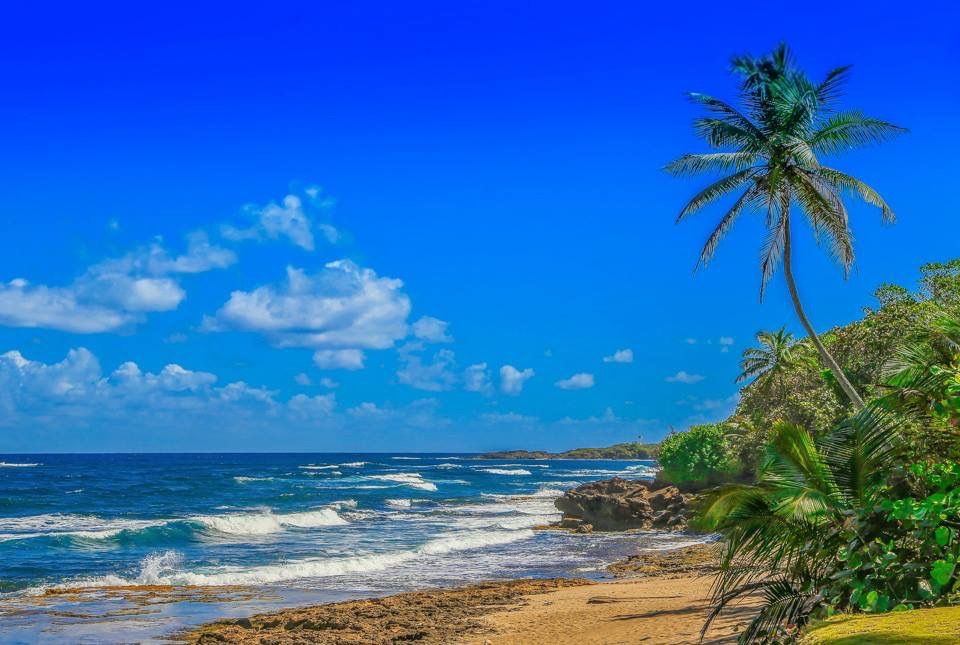 Playa Las Criollas