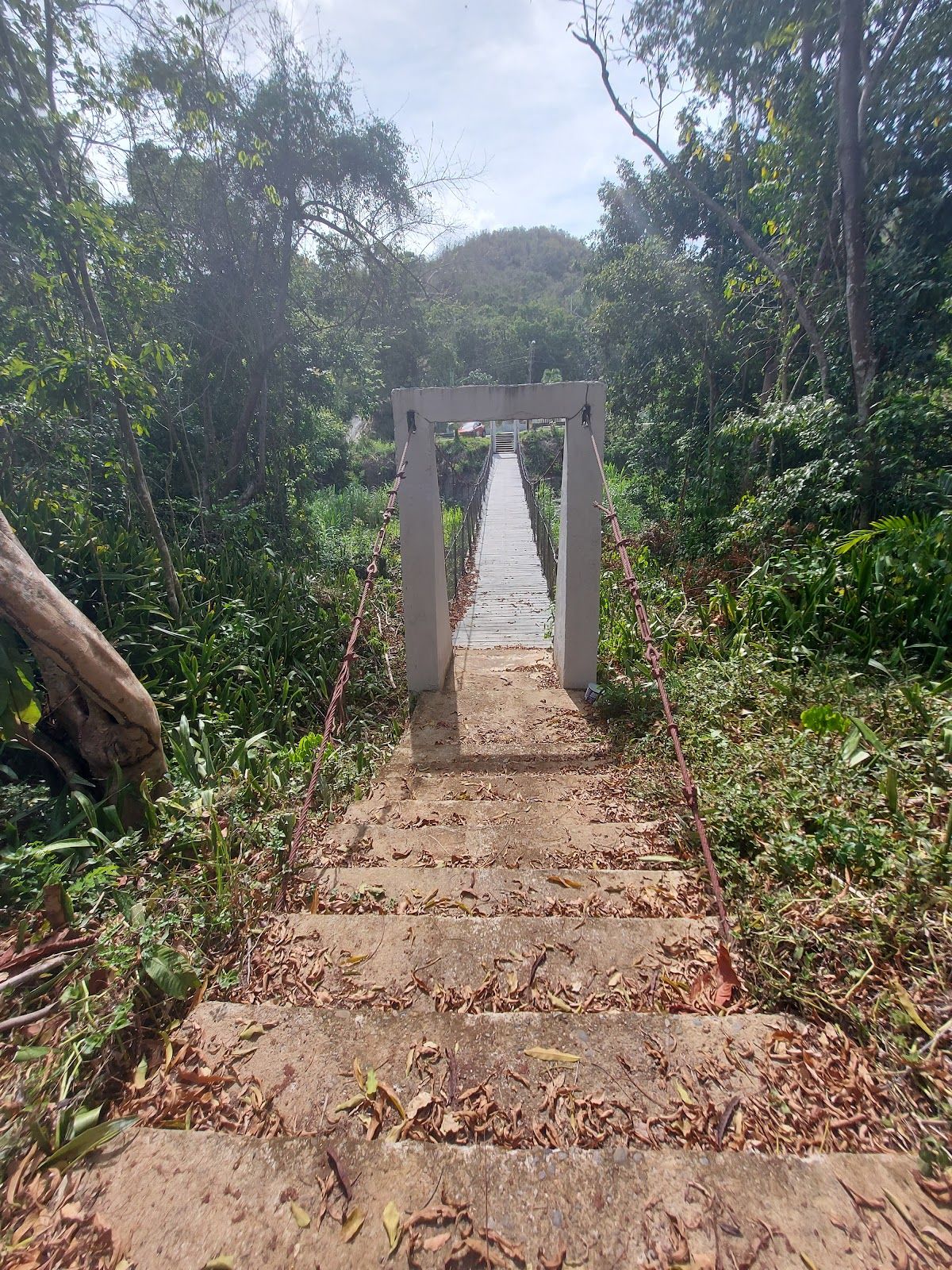 Puente Hamaca 