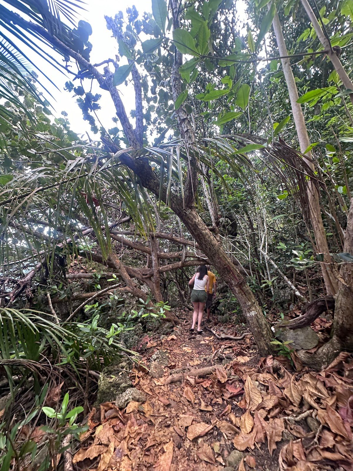 Survival Beach