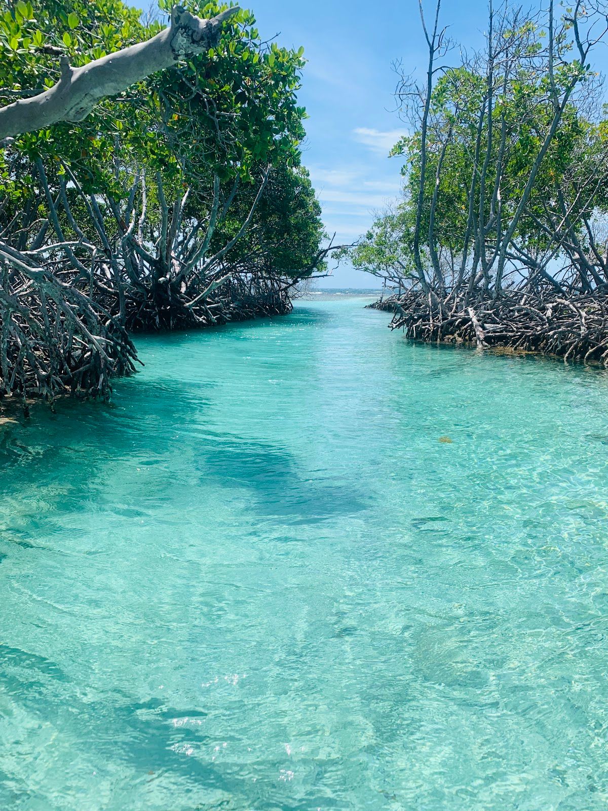 Cayo Caracoles