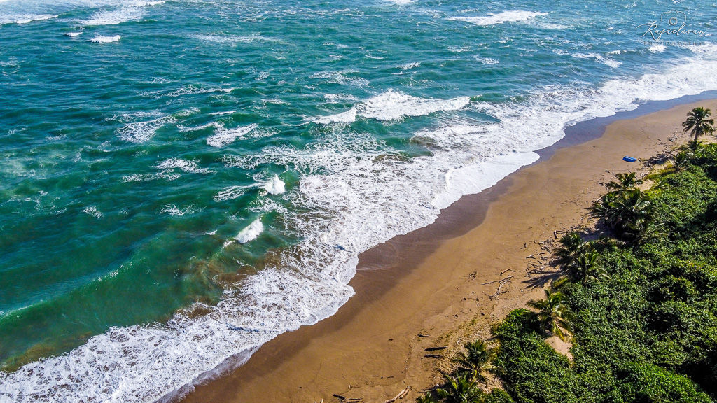 Playa El Unico