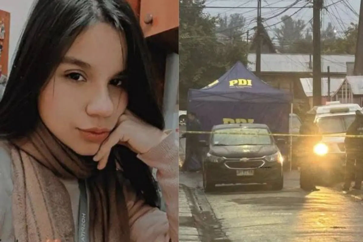 "I killed her, she's in the garbage": The chilling story of a mother-in-law who murdered her daughter-in-law in Chile.