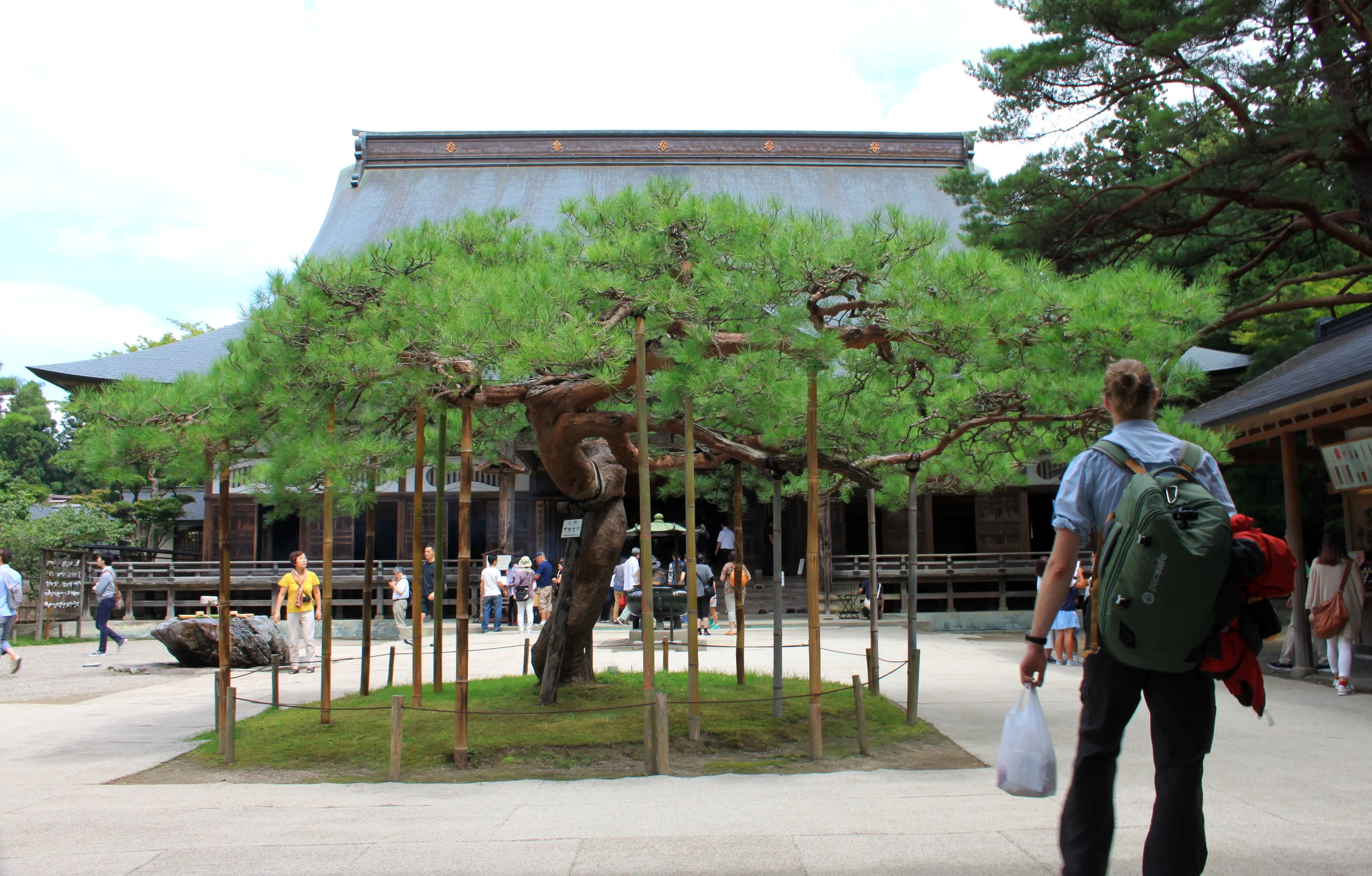 Turysta z plecakiem spacerujący po dziedzińcu przed świątynią Chuson-ji w Hiraizumi, z drzewem bonsai na pierwszym planie