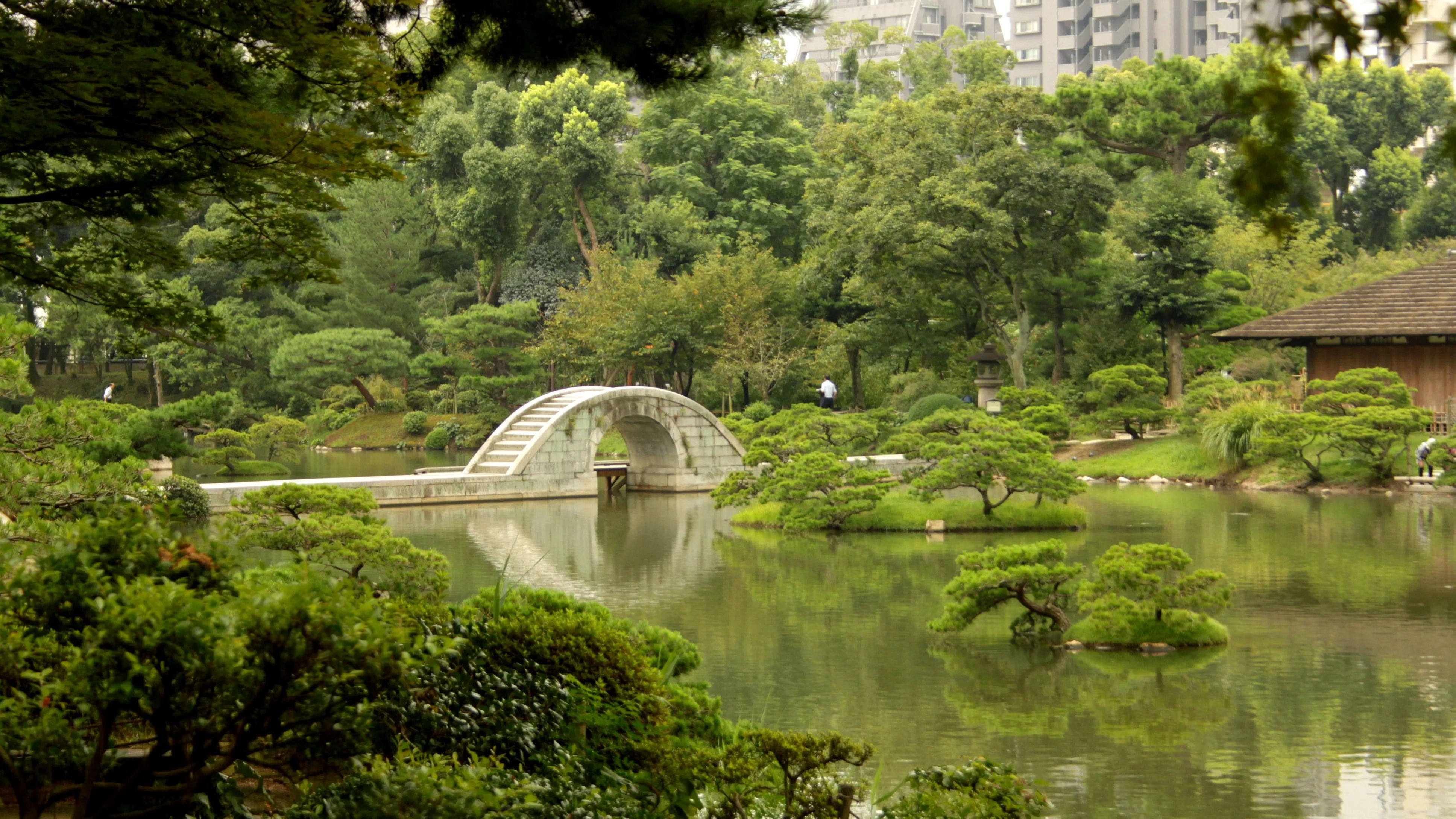 Image of a traditional stone bridge in Shukkeien Park, with lush vegetation in the background.