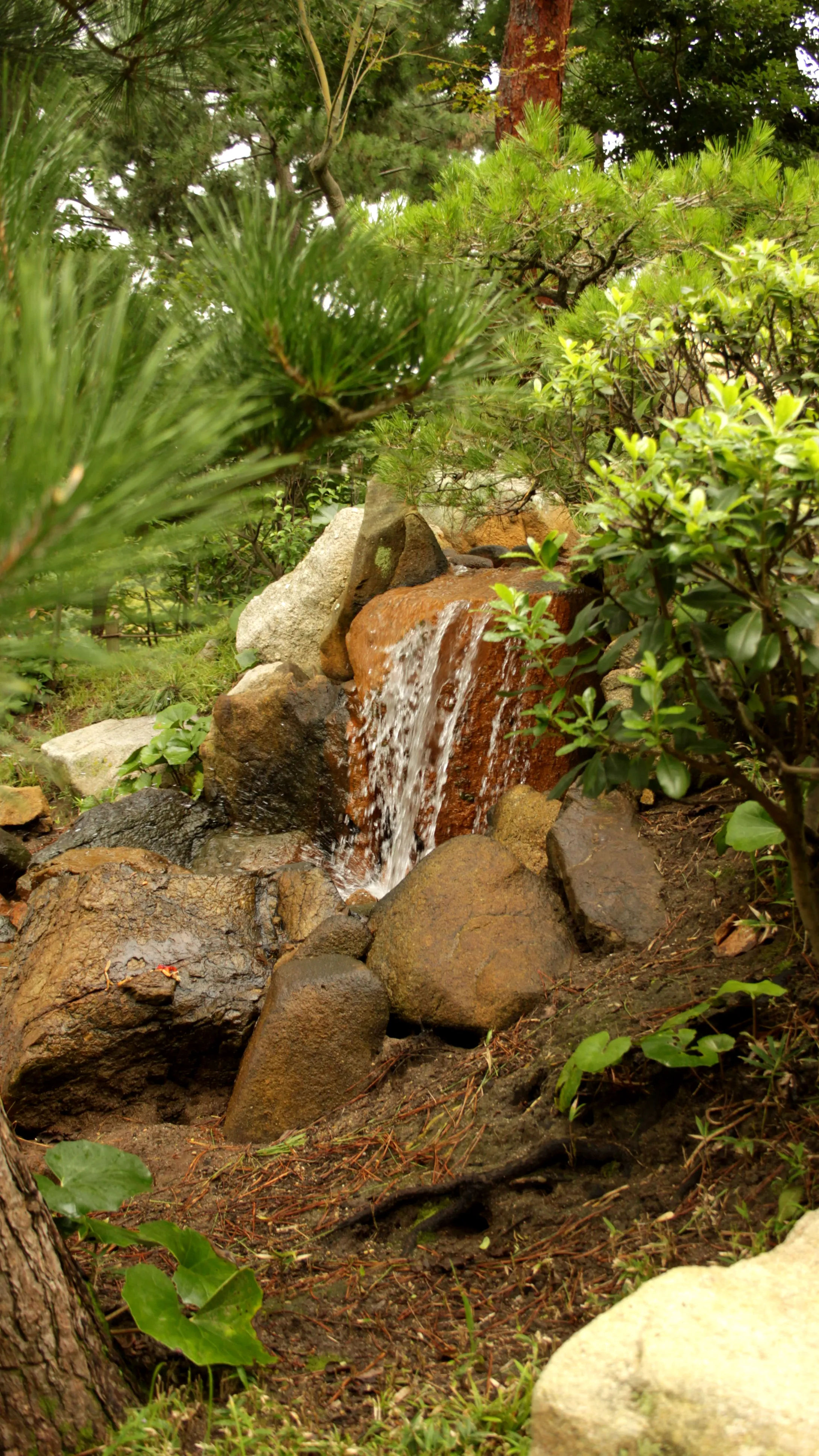 A small waterfall flowing over rocks in Shukkeien Park, surrounded by plants.