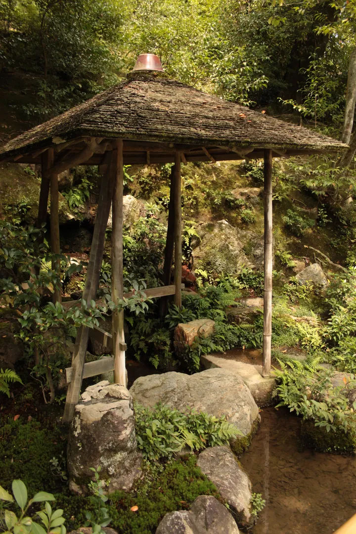 Malowniczy strumień w otoczeniu zieleni na terenie Kinkaku-ji.