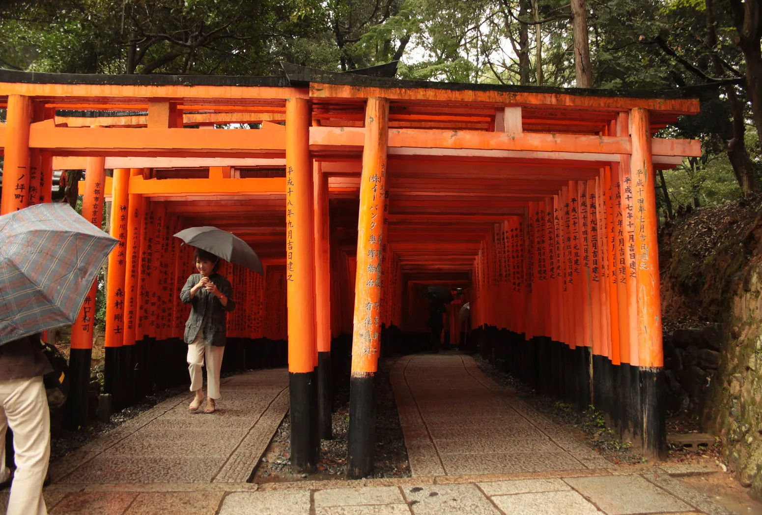 Spacer przez długą czerwoną bramę torii w Fushimi Inari Taisha podczas deszczowego dnia