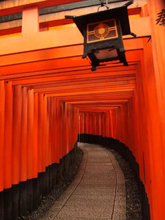 Przejście przez słynne czerwone bramy torii w Fushimi Inari Taisha w Kioto
