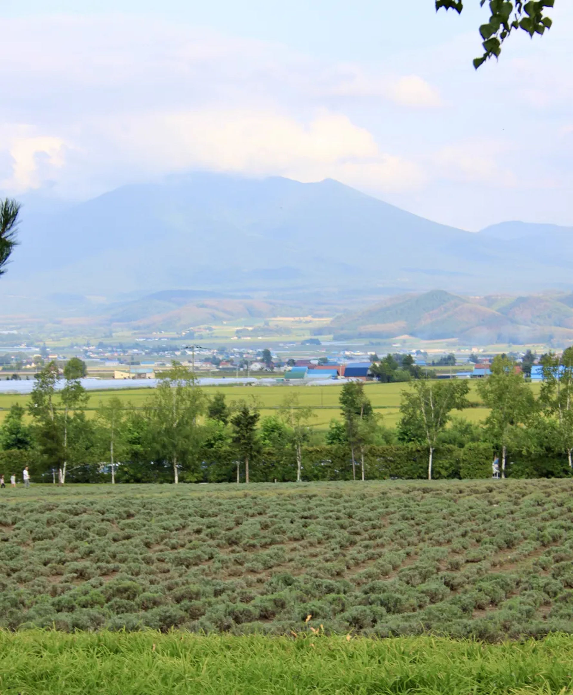 Gory Tokachidake z polami na Hokkaido