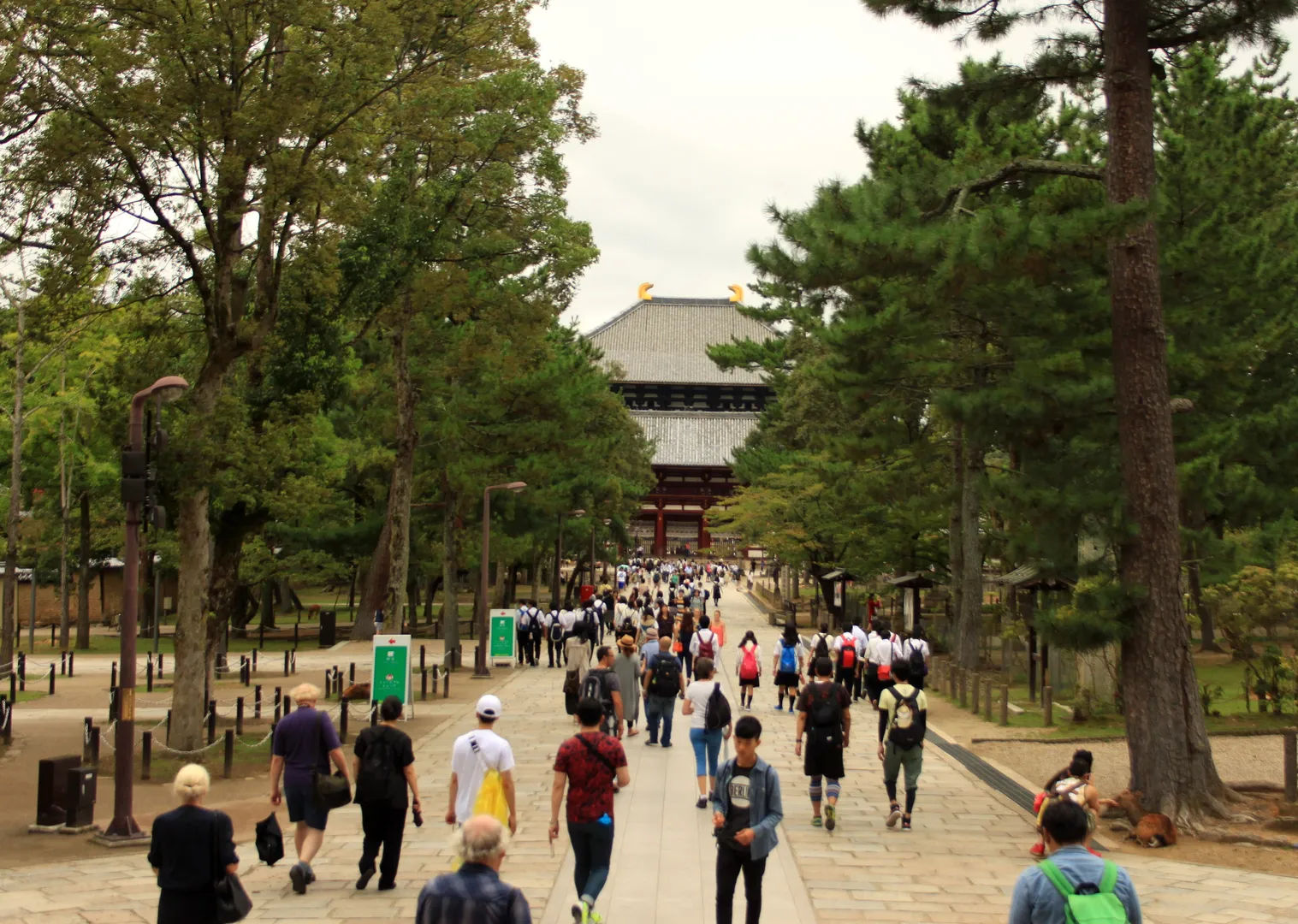 Droga prowadząca do Tōdai-ji