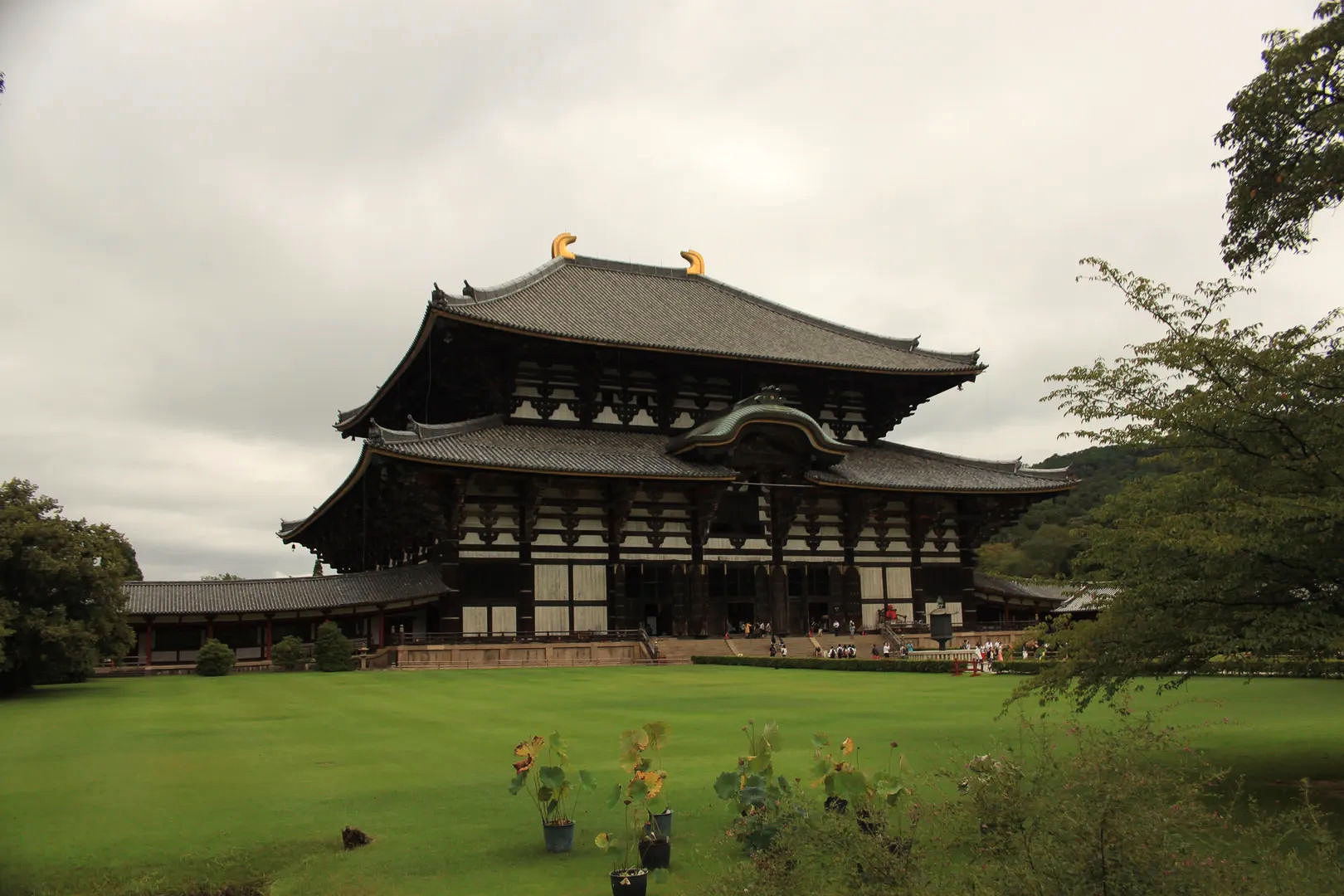 Widok na Daibutsuden – Wielką Halę Buddy w Tōdai-ji