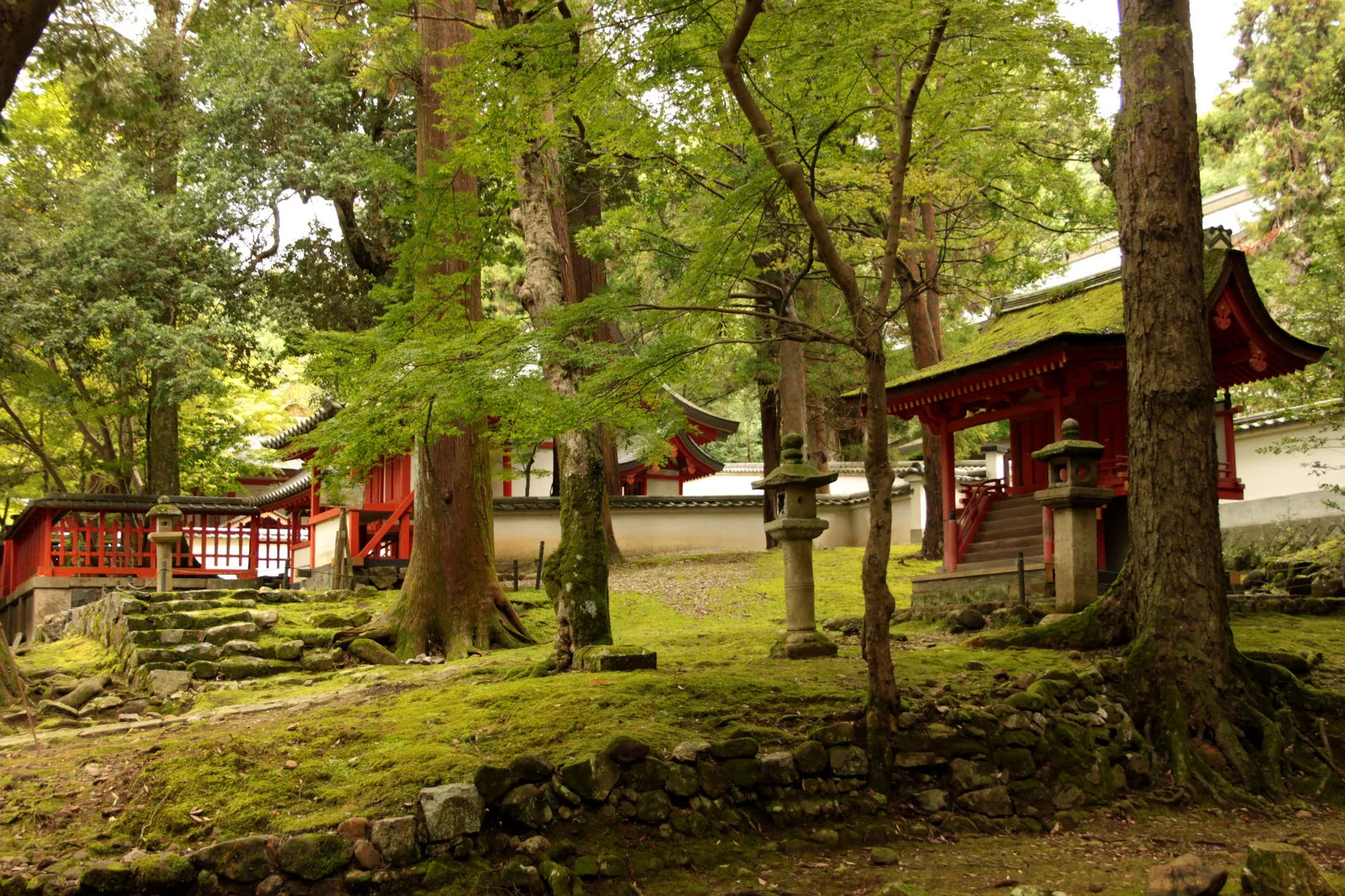 Moss-covered stone lanterns along a path leading to a red shrine in Kasuga Taisha, Nara
