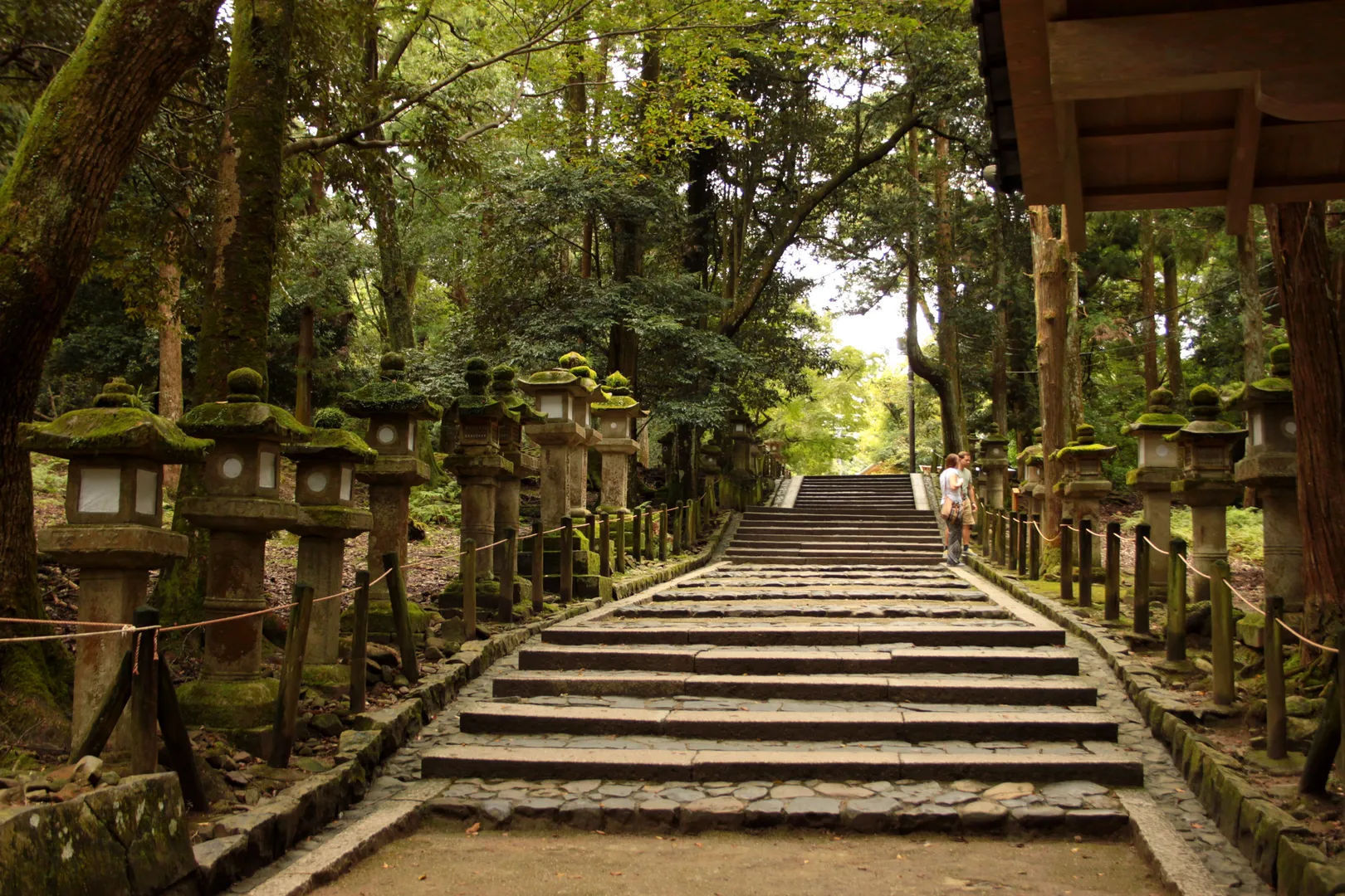 Stone steps lined with stone lanterns leading up to a shrine in Kasuga Taisha, Nara