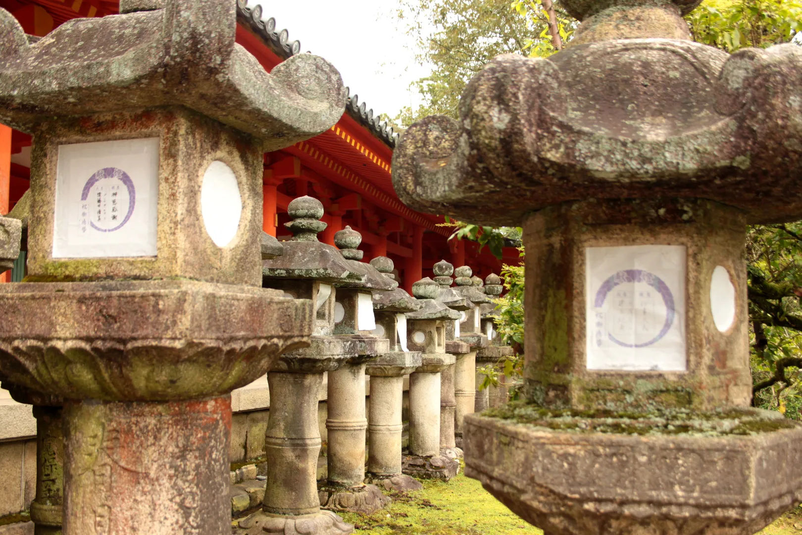 Lanterns leading up to a red shrine in the forest of Kasuga Taisha, Nara