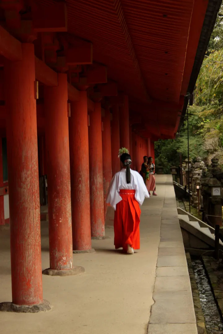 A priestess in traditional clothing walking through the corridors of Kasuga Taisha, Nara