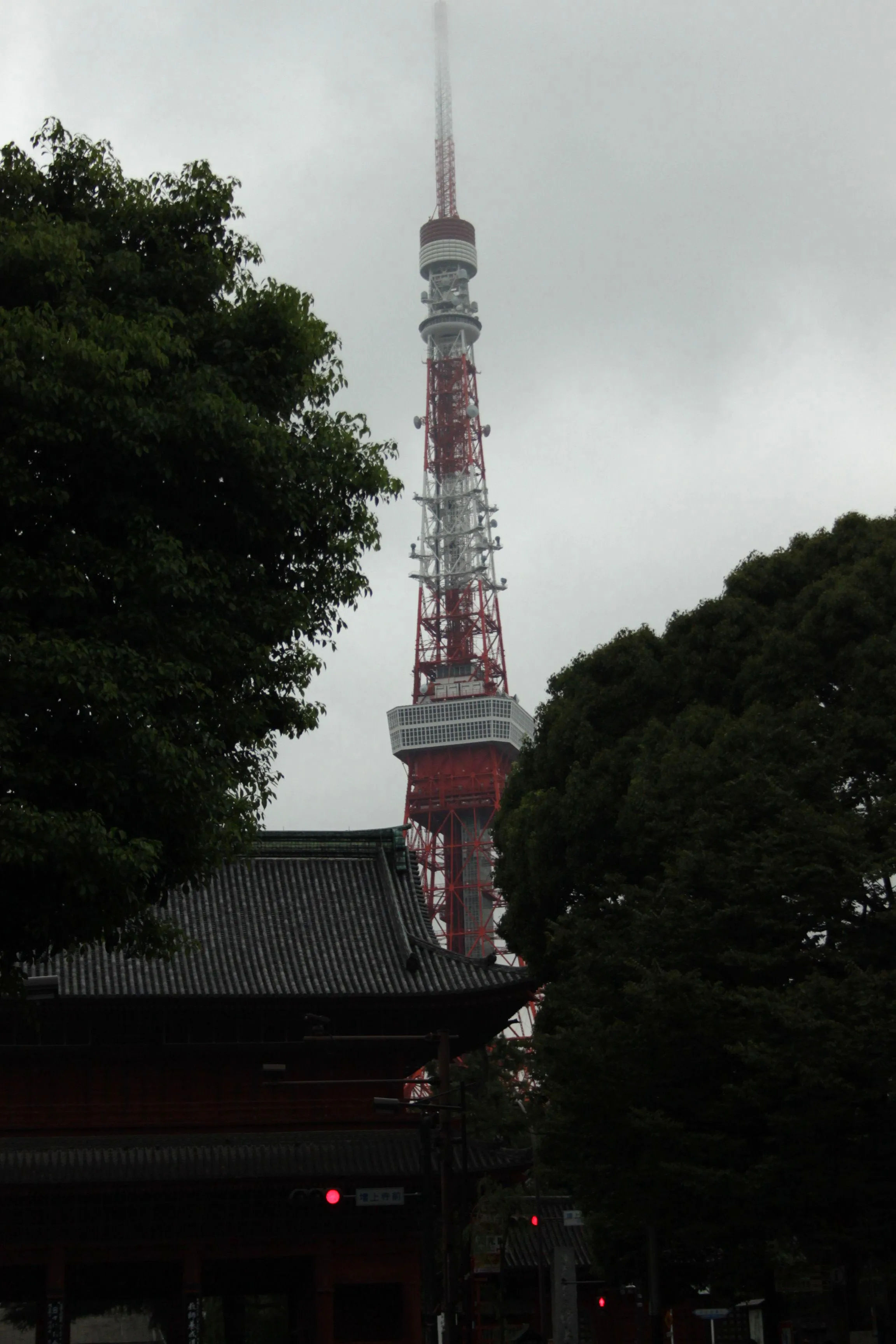 Widok na Tokyo Tower zza drzew, częściowo zasłoniętą przez roślinność.