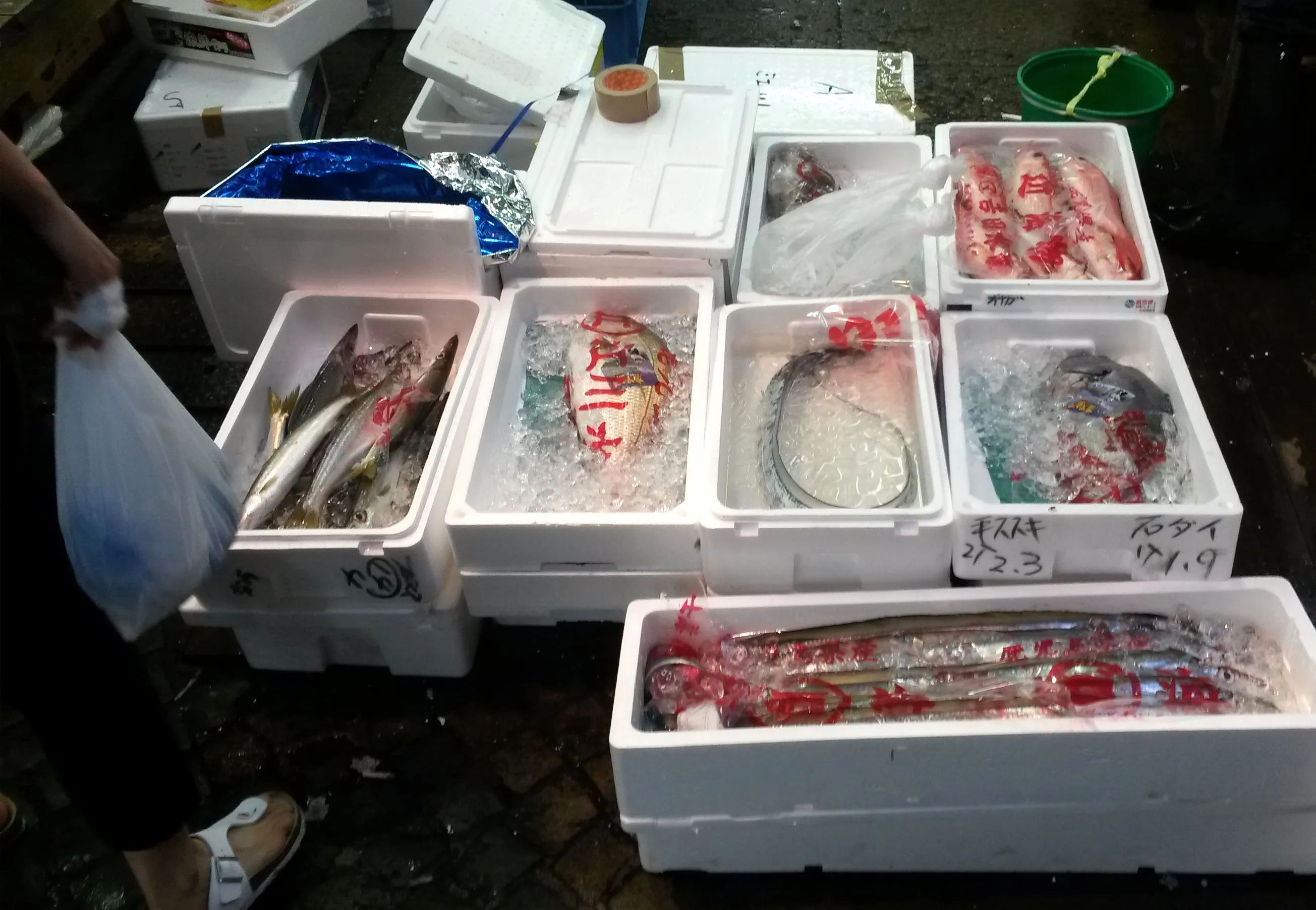 Świeże ryby i owoce morza zapakowane w styropianowe skrzynki, przygotowane do sprzedaży w Tsukiji Market.