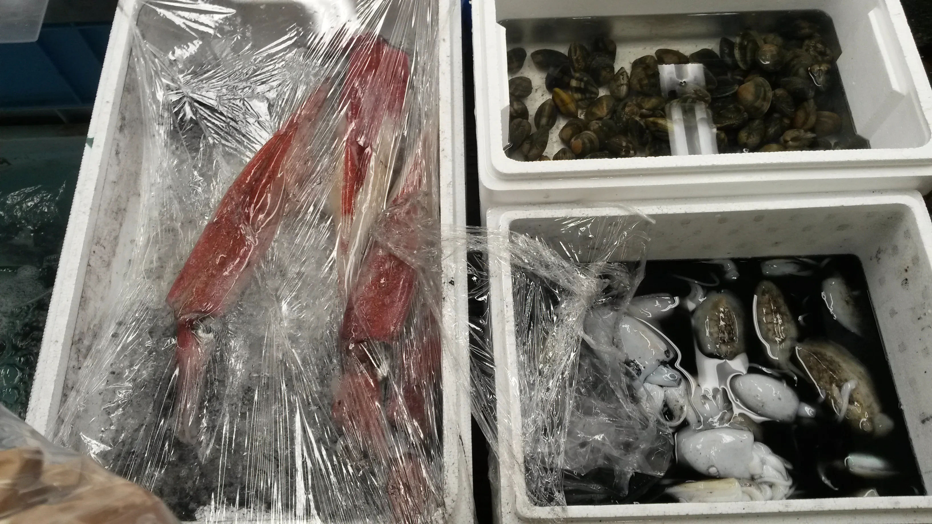 Świeże ryby i owoce morza zapakowane w folię i przechowywane w chłodniach w Tsukiji Market.