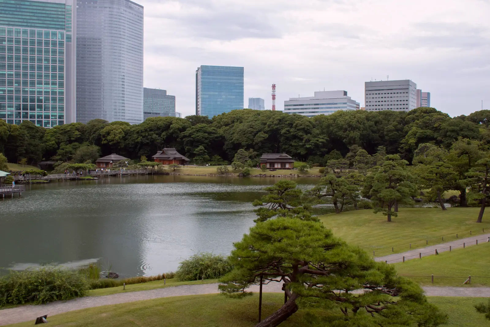 widok na ogrody Hamarikyu z herbaciarnitle, Shiodome, Tokio