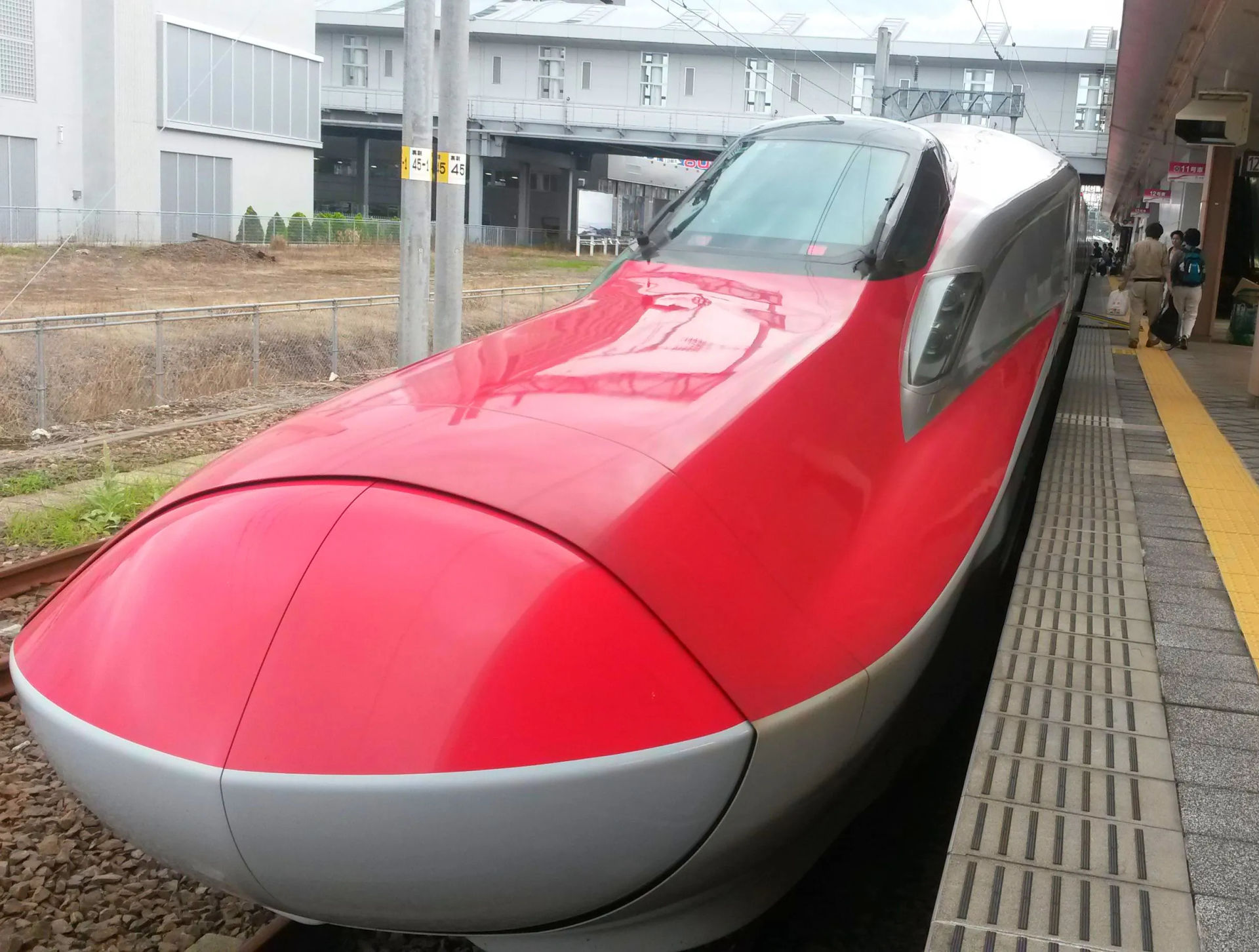 Czerwony shinkansen stojący na stacji w Tokio