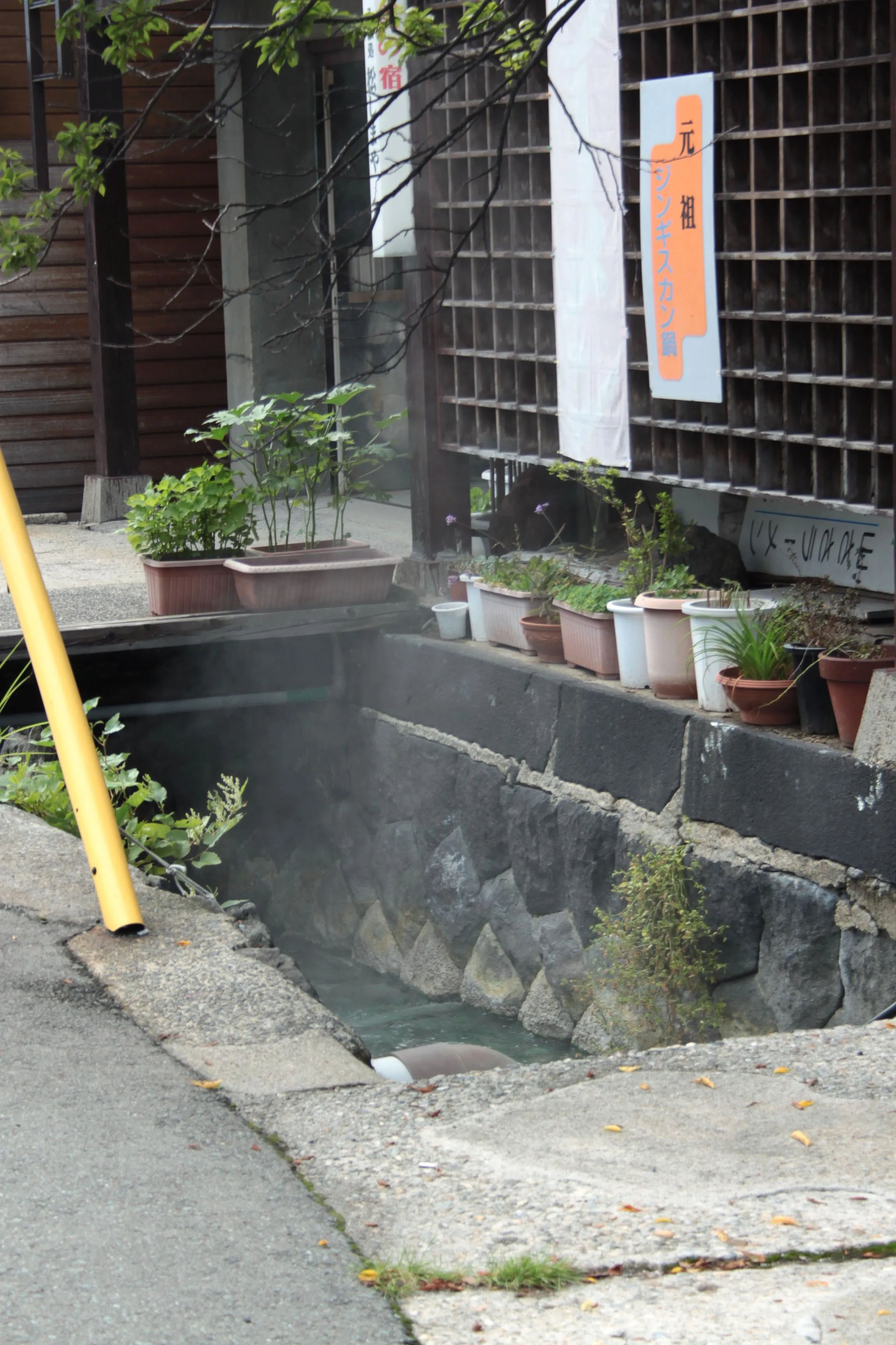 Para unosząca się z gorącego źródła w Zao Onsen, Japonia, z roślinami w doniczkach ustawionymi na krawędzi kanału.