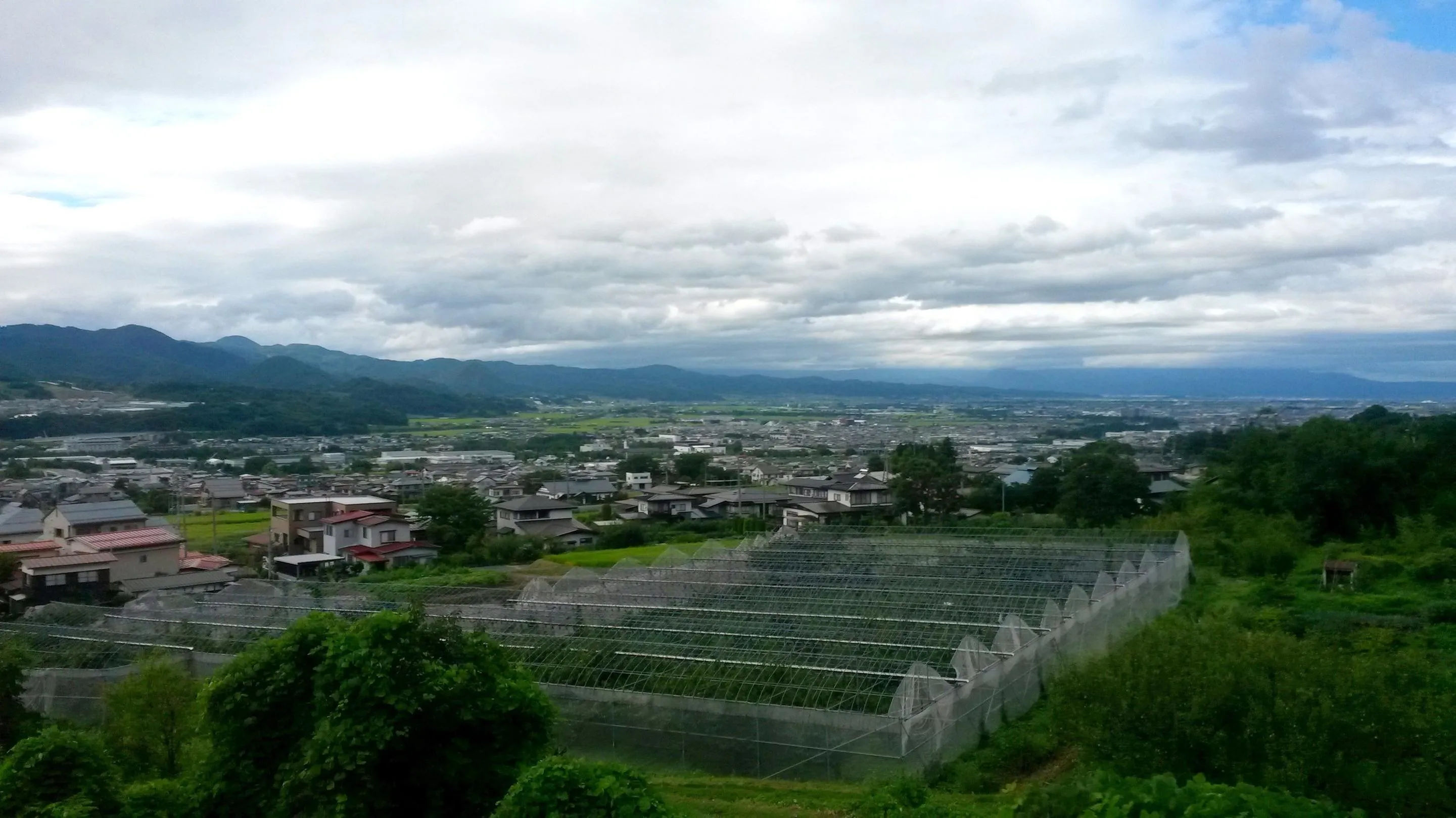 Widok na wies w Japonii, z widocznymi polami uprawnymi oraz górami w tle pod zachmurzonym niebem