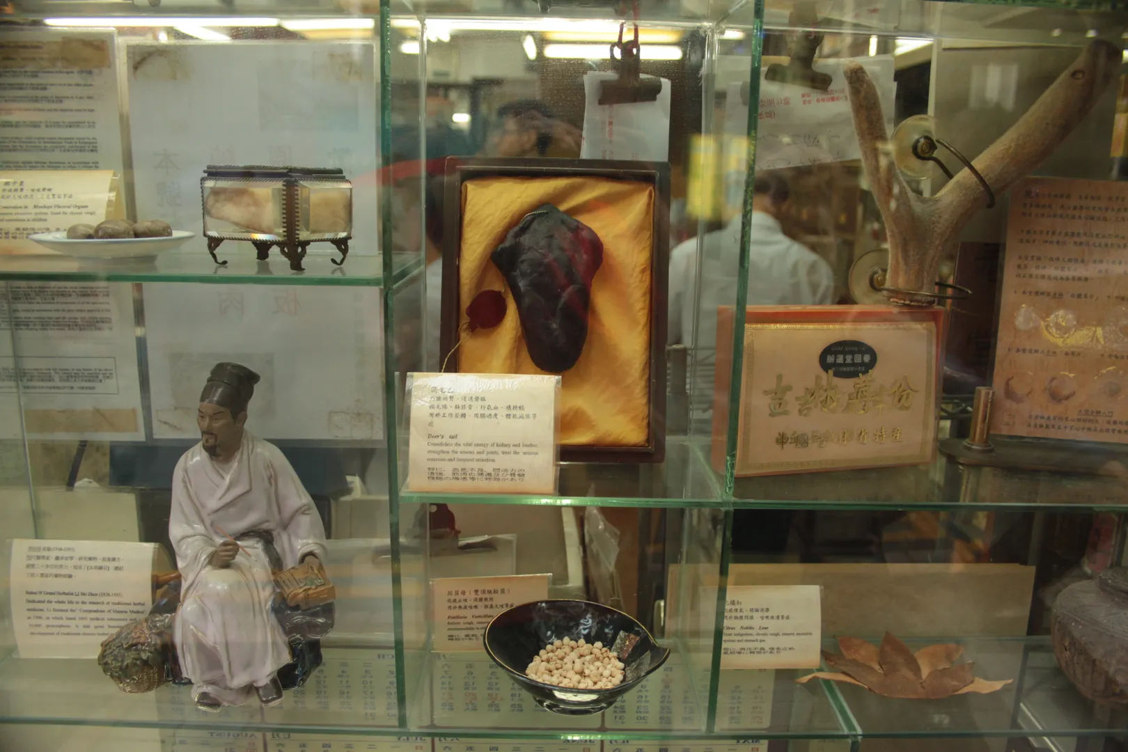 Ekspozycja tradycyjnych chińskich ziół i medycznych artefaktów w muzeum w Hongkongu