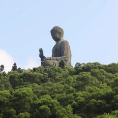 Widok na Wielkiego Buddę Tian Tan na wyspie Lantau w Hongkongu
