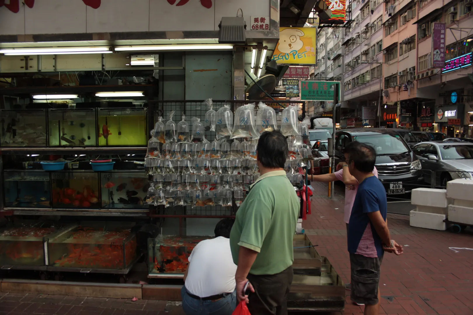 Rynek z workami pełnymi ryb i zwierząt w wodzie, przygotowanymi na sprzedaż na Mong Kok w Hongkongu