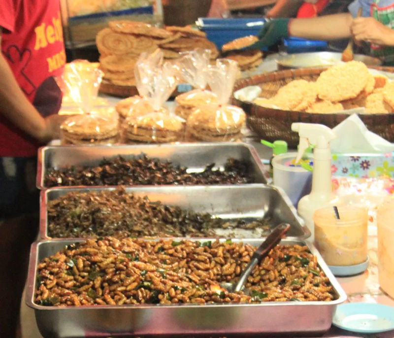 Close-up of deep-fried insects for sale at a market in Ayutthaya.