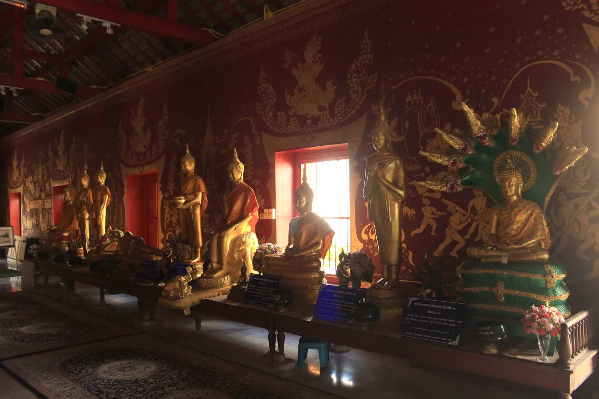 Wnętrze świątyni Wat Chiang Man z licznymi złotymi posągami Buddy.