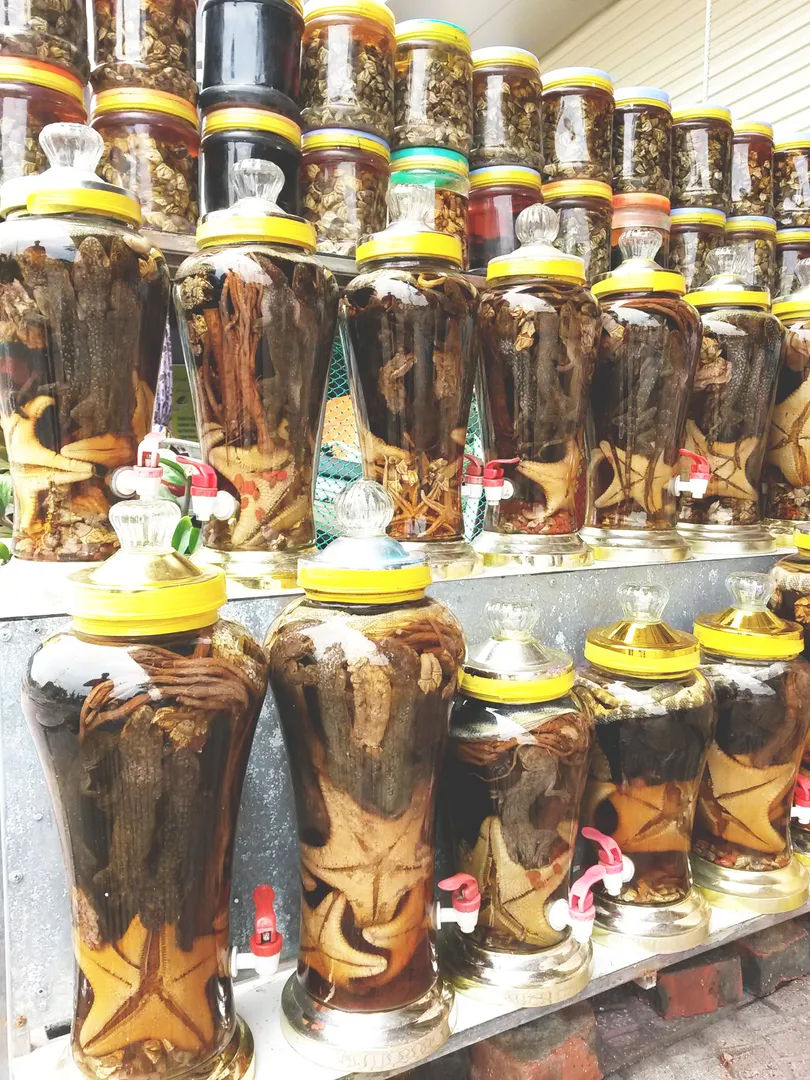 Tradycyjne nalewki alkoholowe z wężami i korzeniami na lokalnym targu, Mekong, Wietnam.