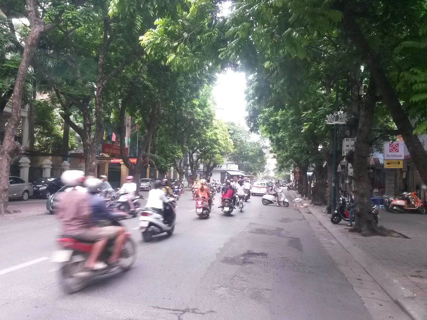 Aleja drzew w Starej Dzielnicy Hanoi, z motocyklistami poruszającymi się po ruchliwej ulicy."