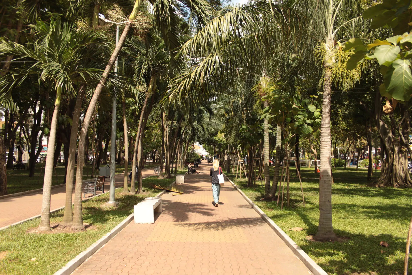 Park w Sajgonie, Wietnam, z alejką obsadzoną palmami i spacerującymi ludźmi.